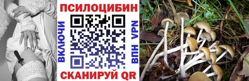 Галлюциногенные грибы прущие грибы  Купить где  Строитель 